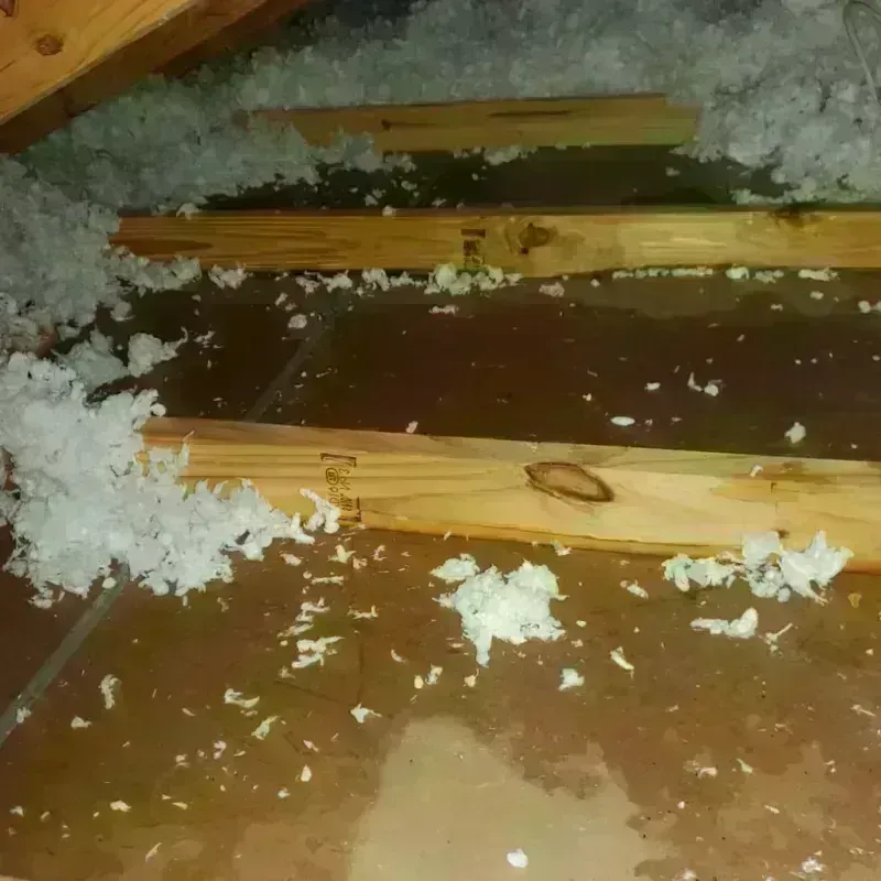 Attic Water Damage in Dishman, WA