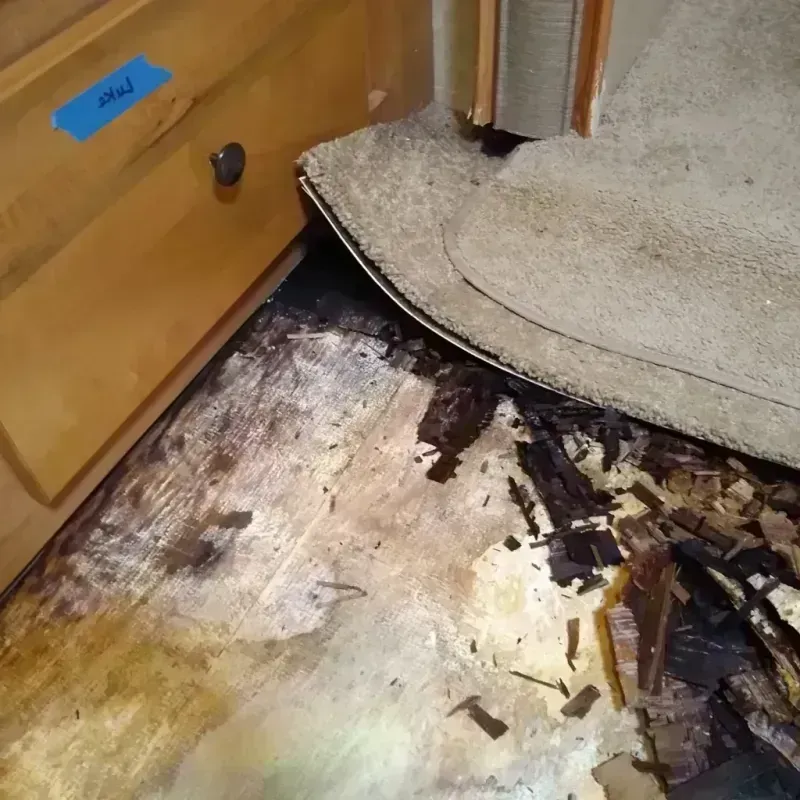 Wood Floor Water Damage in Dishman, WA